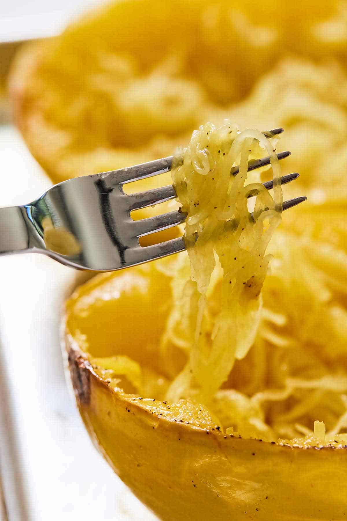 A fork holding up the strands of spaghetti squash.