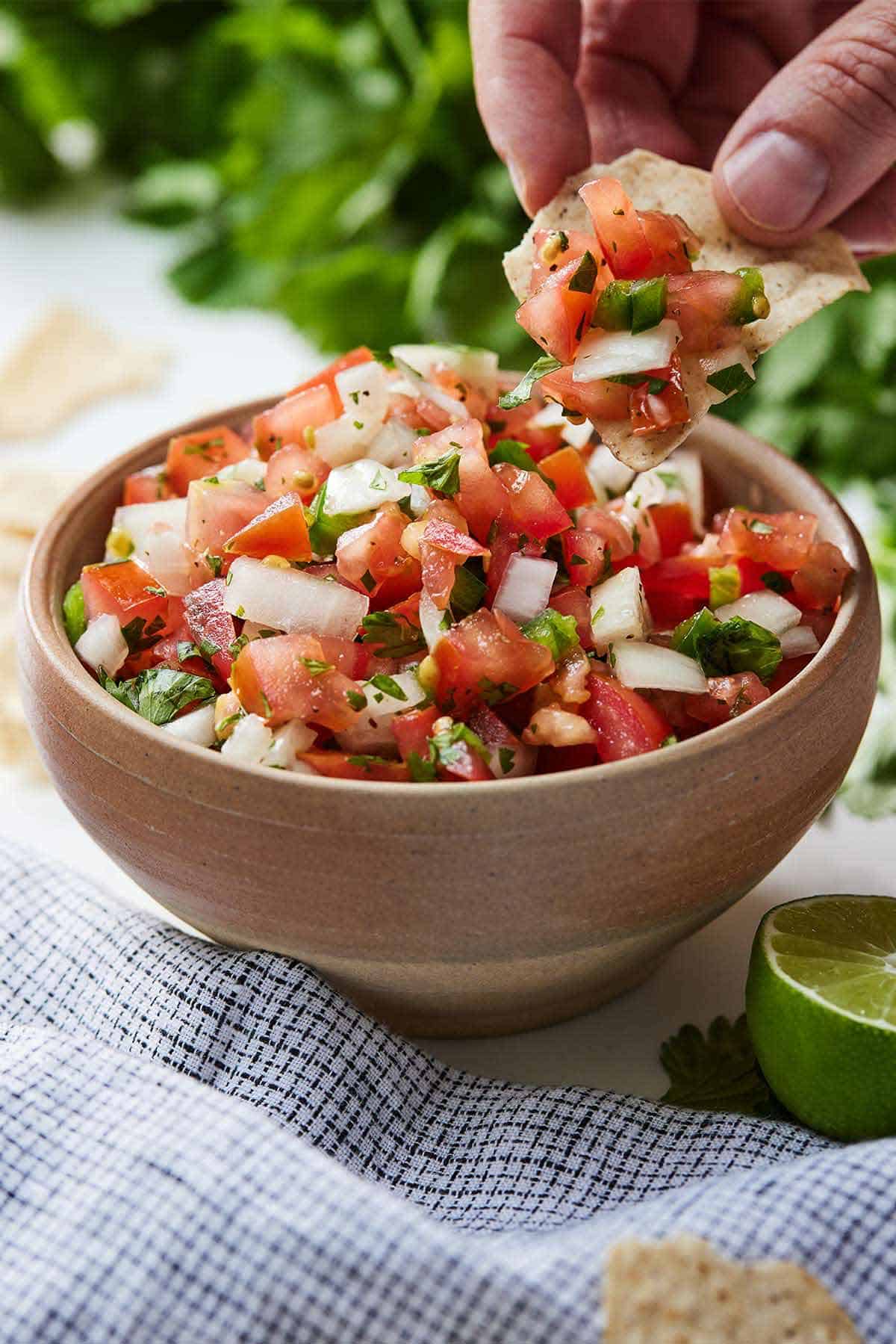 A chip scooping out pico de gallo from a bowl in front of a bunch of cilantro.