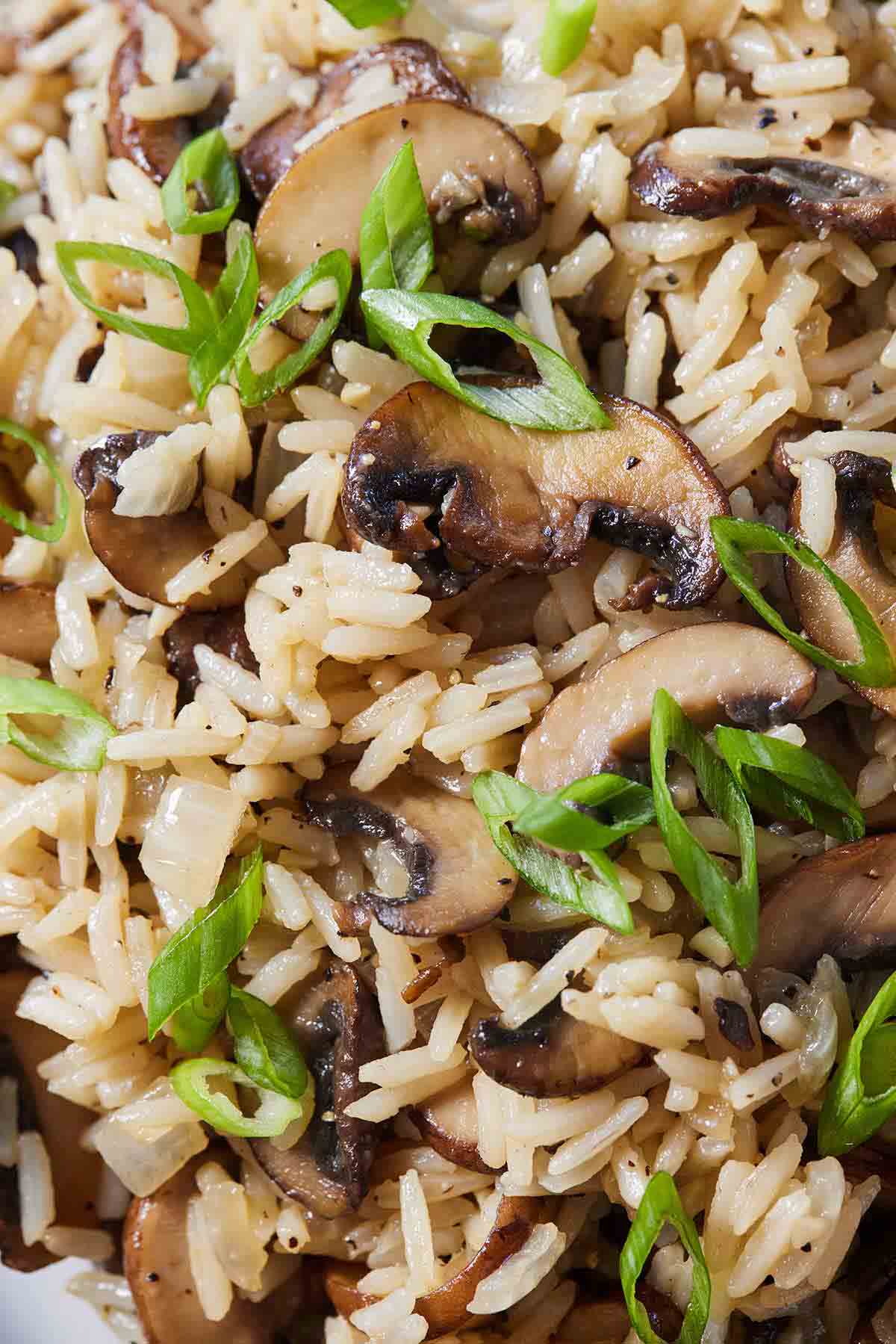 Close up of rice with mushrooms, onions, and sliced green onions.