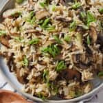 Pinterest graphic of the overhead view of a plate mushroom rice with sliced green onions as garnish.