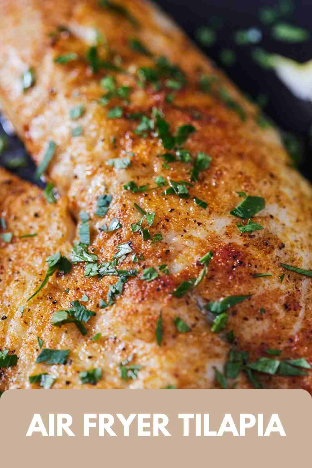 Air Fryer Tilapia Cooking With Coit