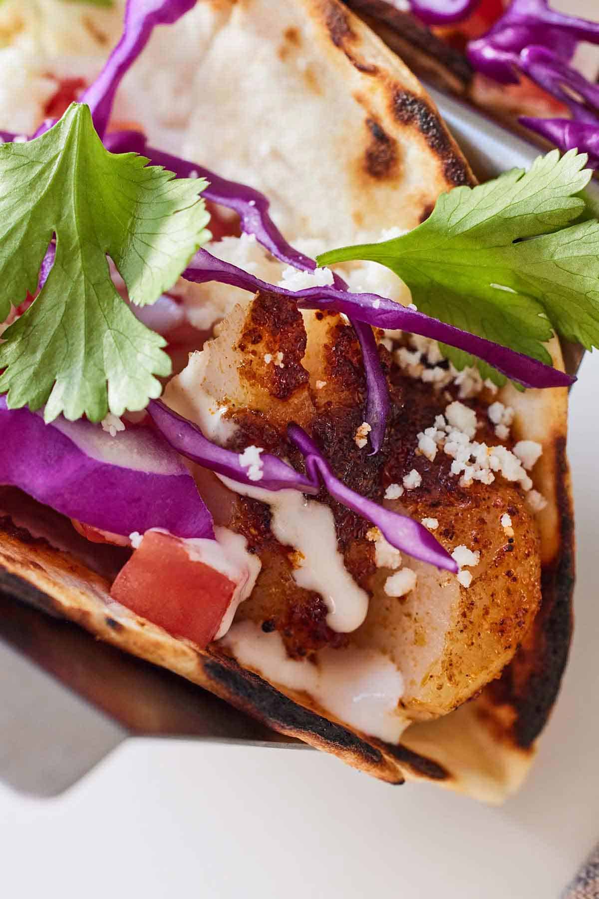 Close up view of a fish taco with cilantro and cabbage on top.