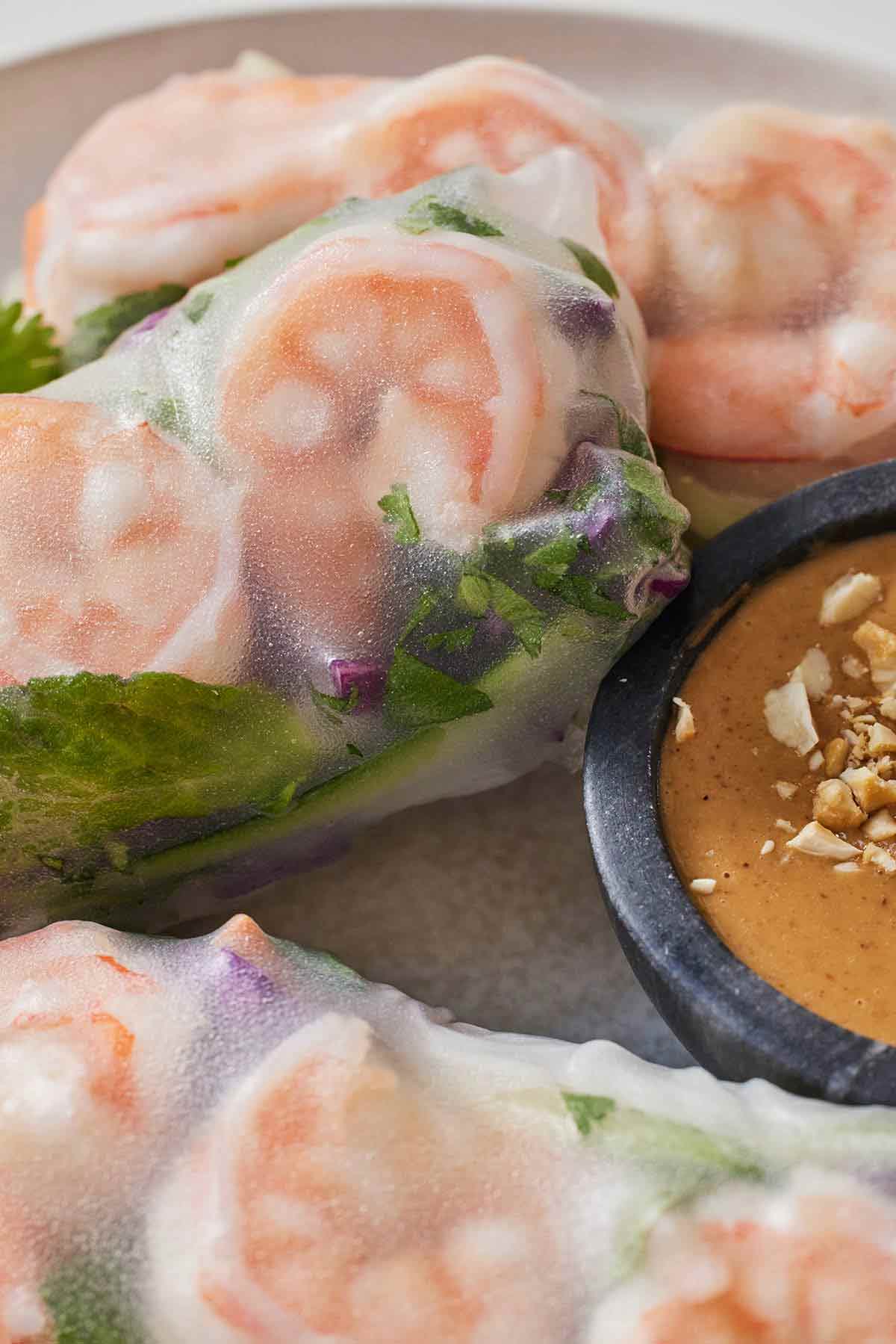 Close up of three salad rolls by a dipping sauce.