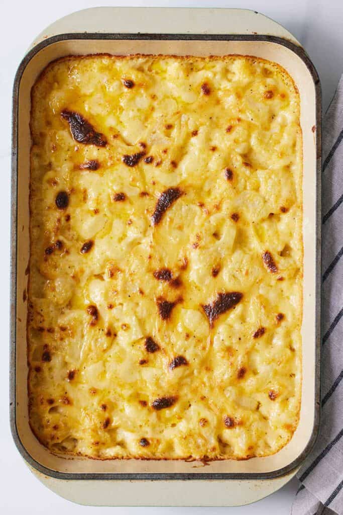 A baking dish with cauliflower mac and cheese with golden cheese on top.