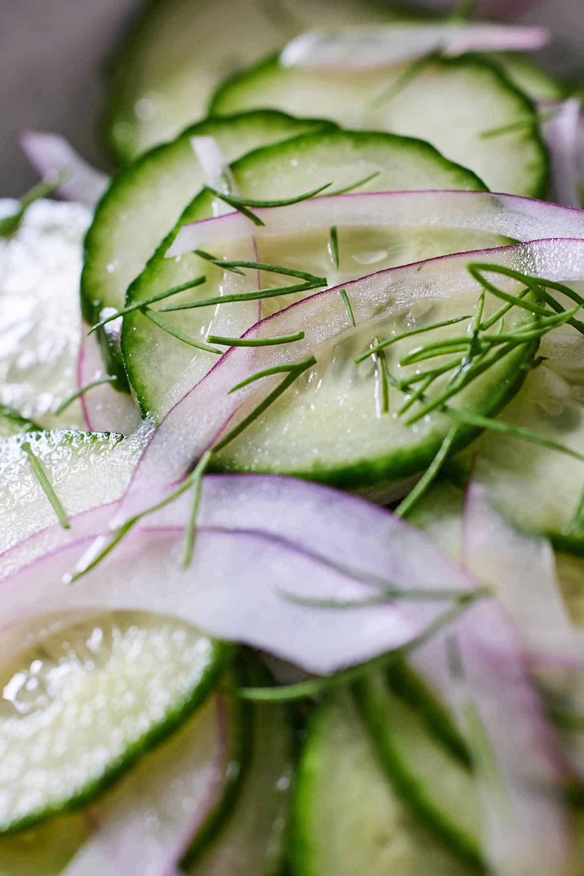 Close up of sliced cucumbers with sliced onions and fresh dill.